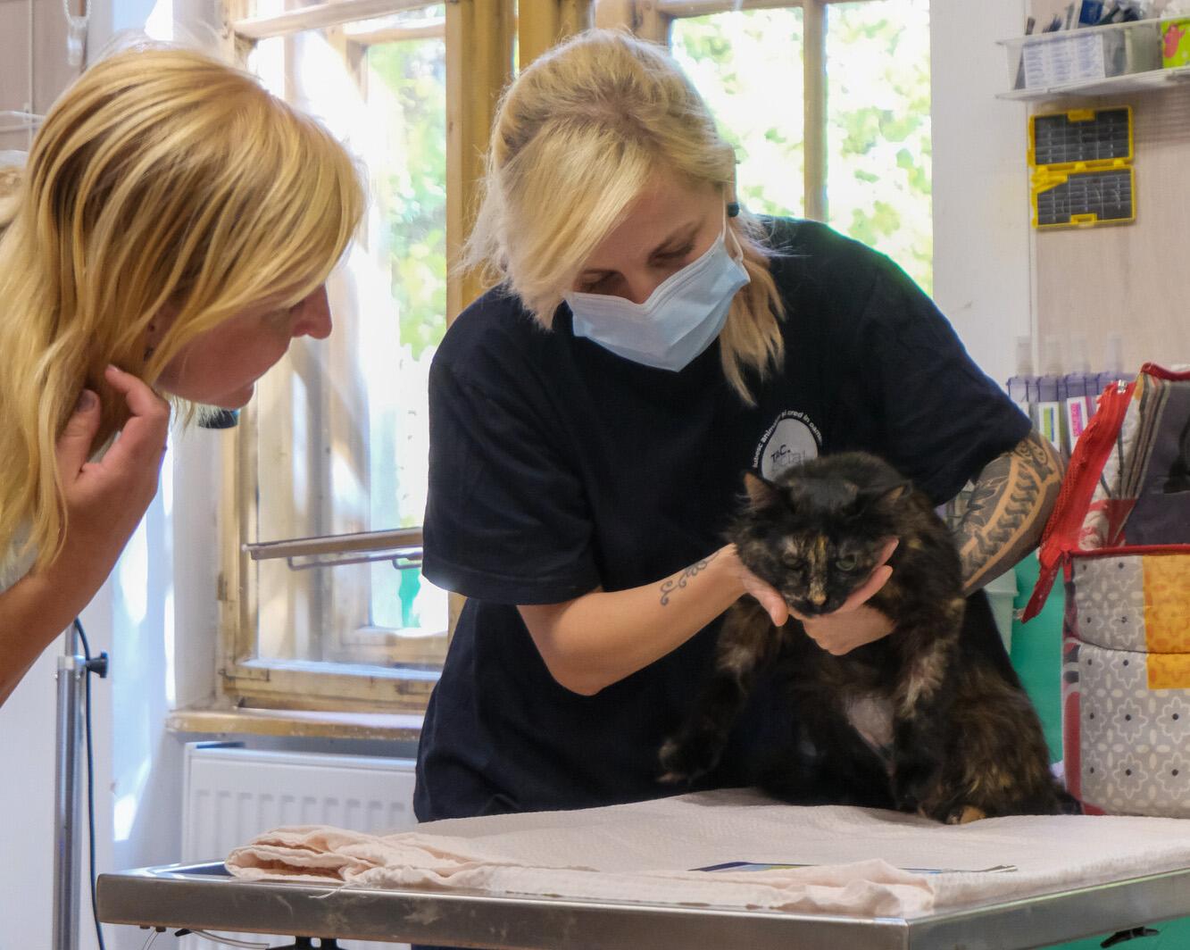 Vet with cat Chupa on vet table following surgery and owner Evgenia looking on