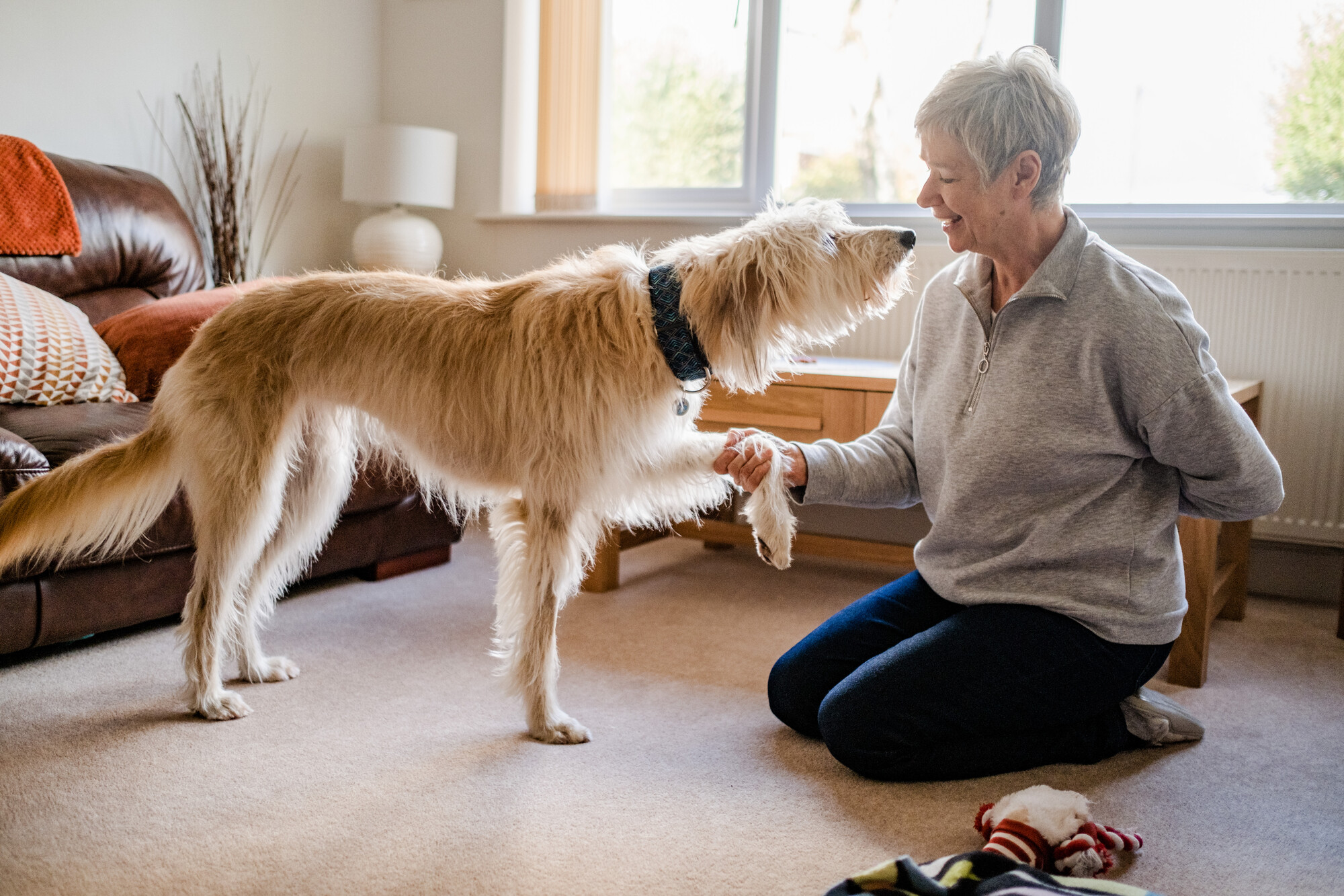 Sue holding Hazel's front right leg as they practise physiotherapy exercises