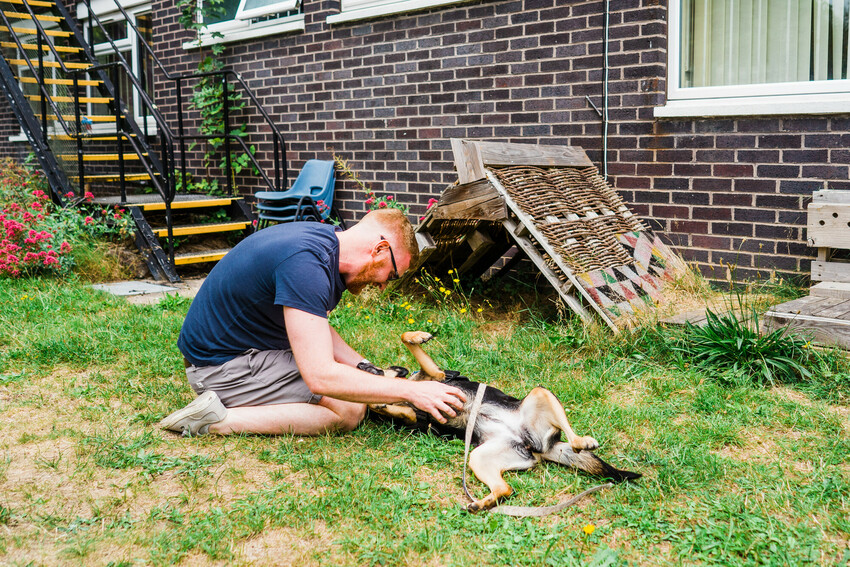 Lucy lies on the ground on her back wiggling with happiness as owner Liam tickles her tummy