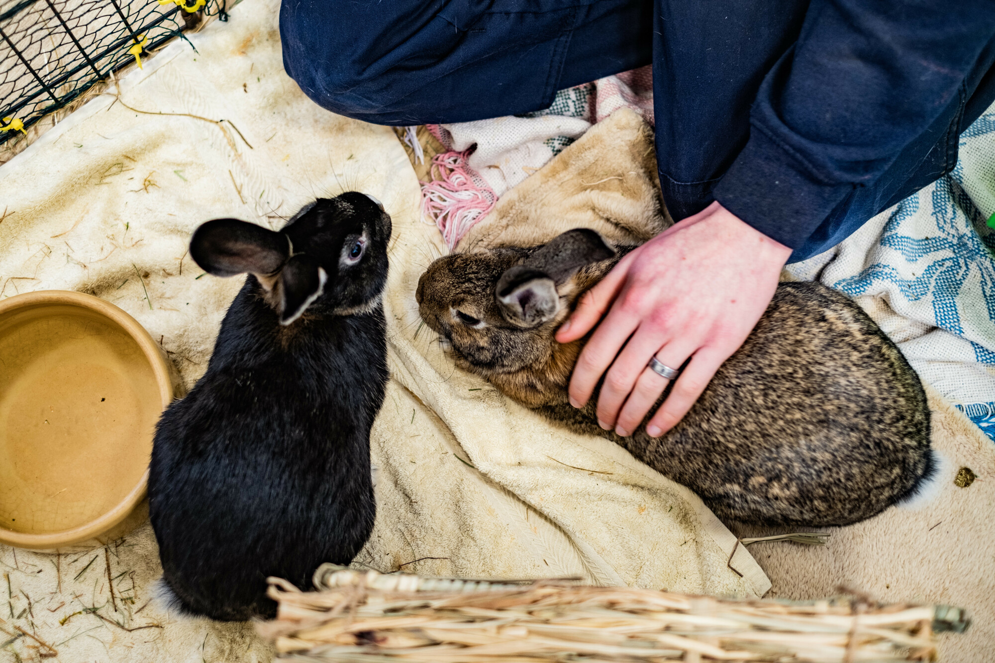 Daphne and Groot with Aaron