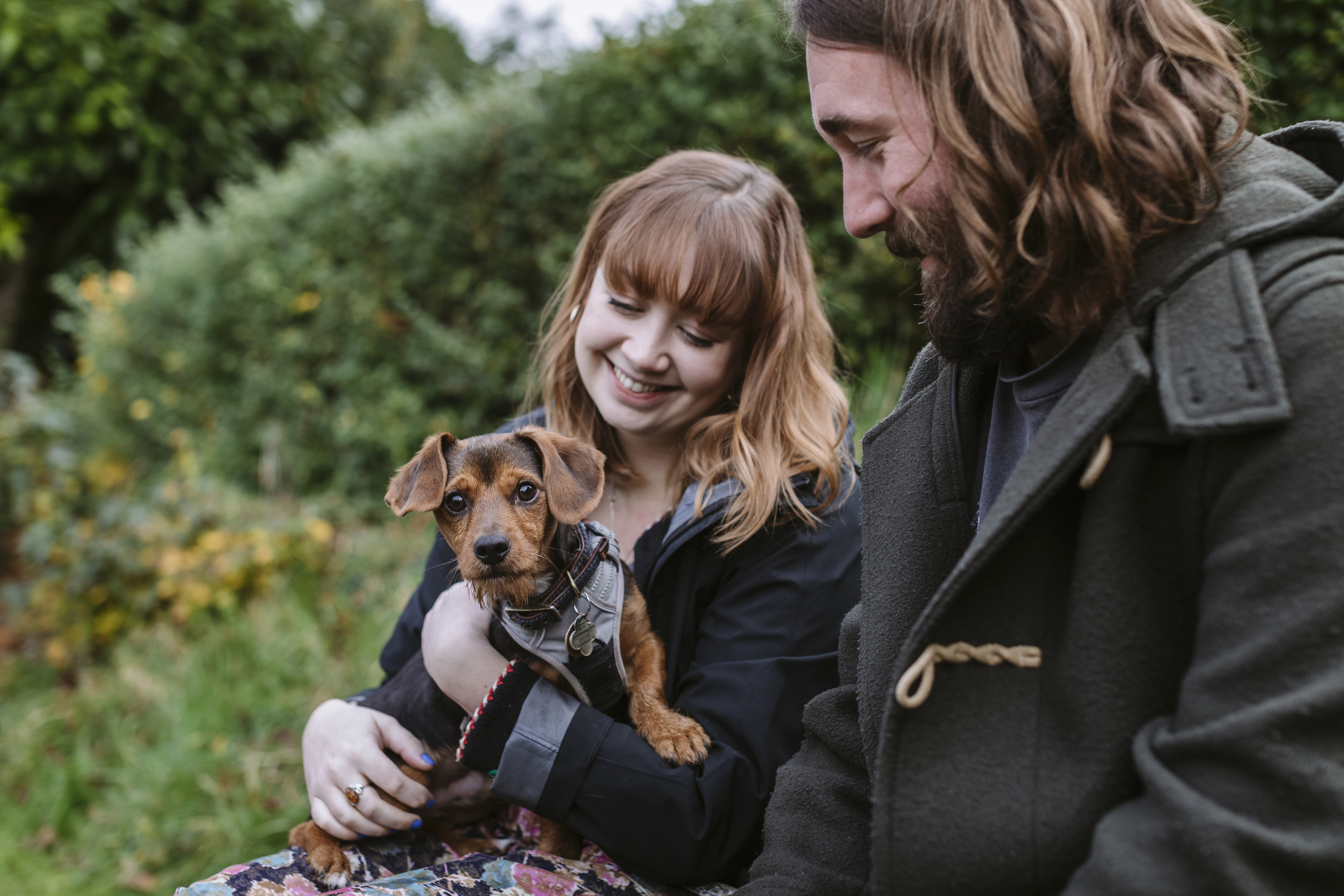 A small brown dog wearing a harness is held by their two owners.