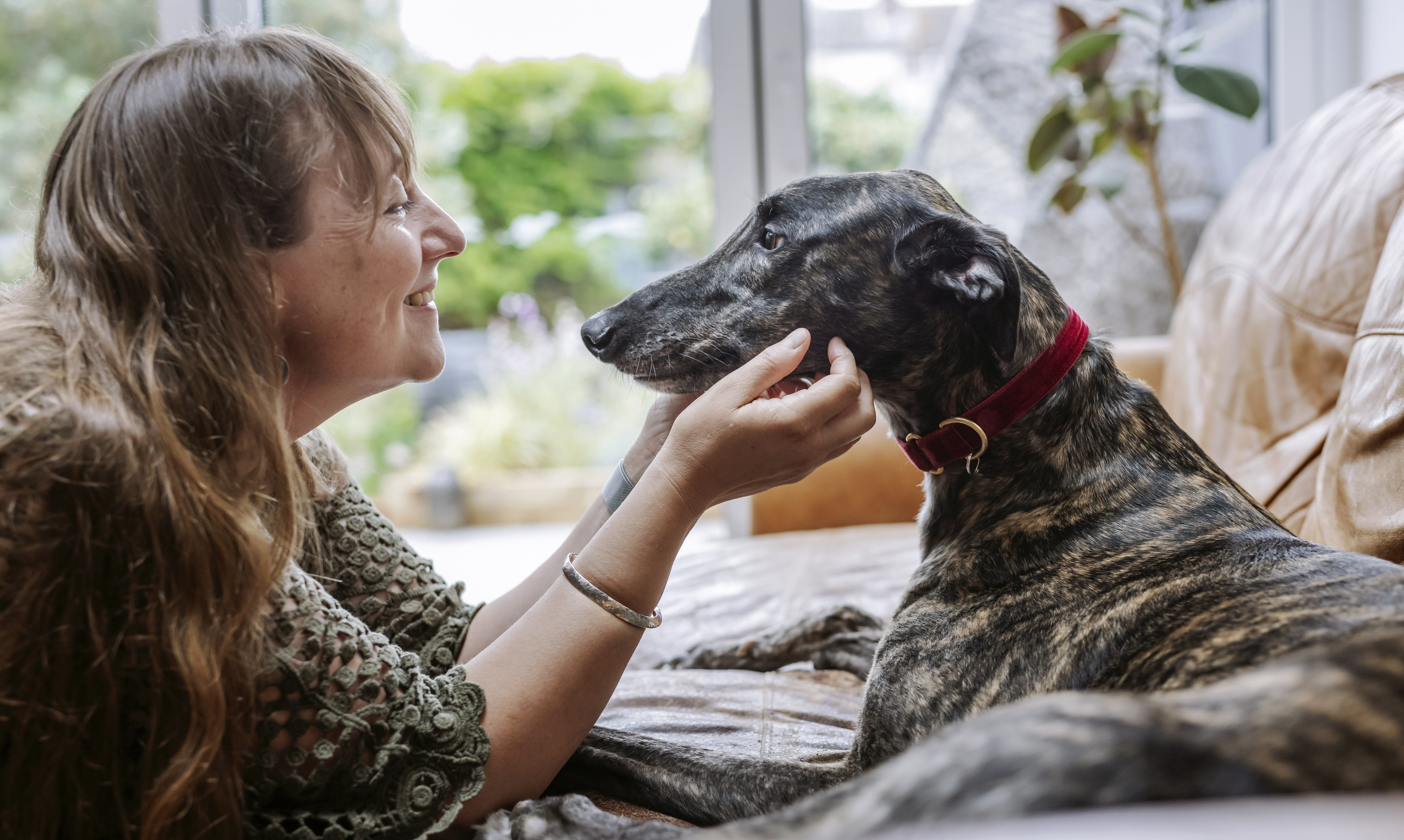 Owner Kit gives Amos a chin scratch as he gazes at her