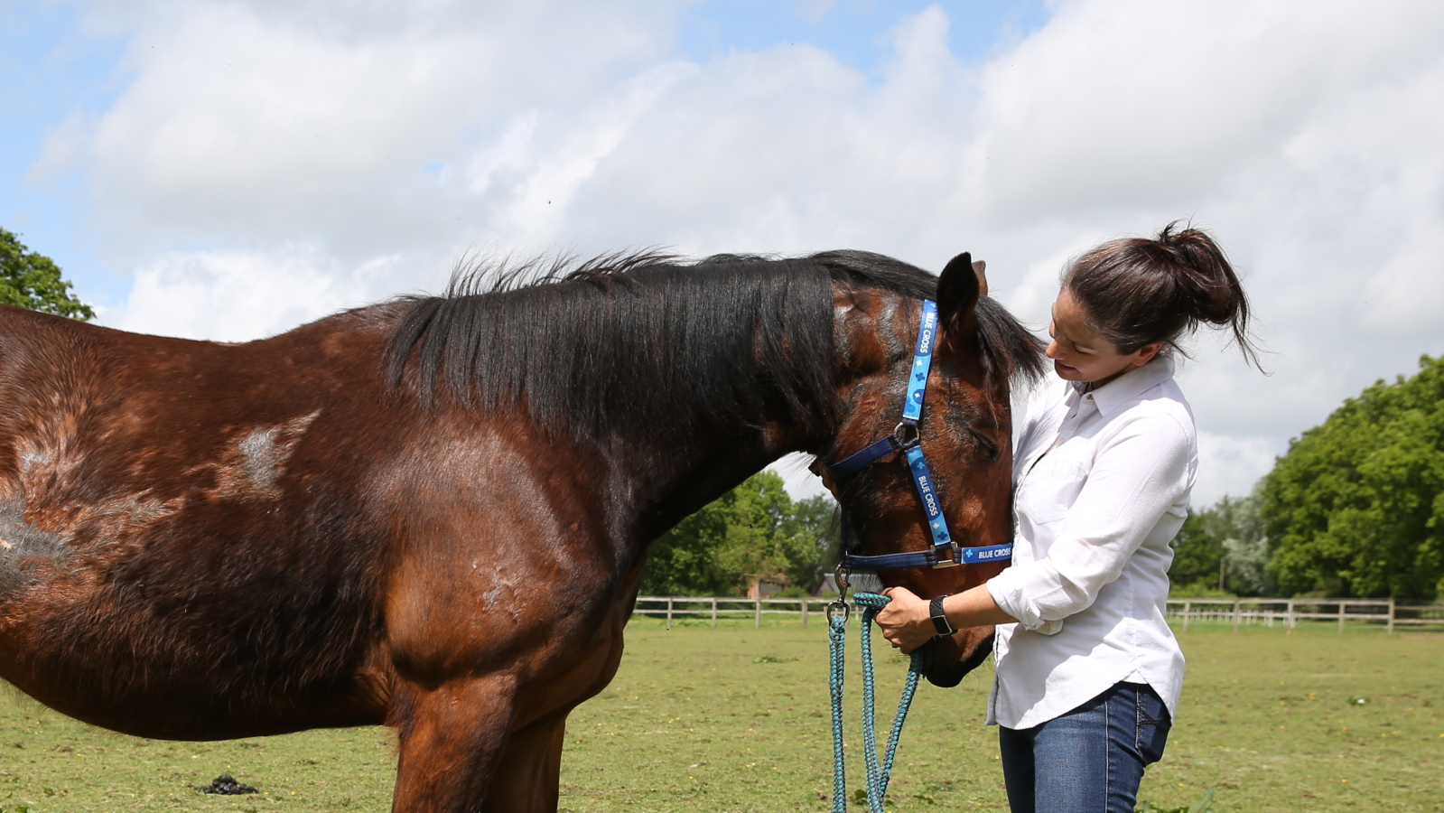 Brown horse Pilgrim stands with his head in the hands of his owner, who smiles at him. Pilgrim's body is covered with scars.