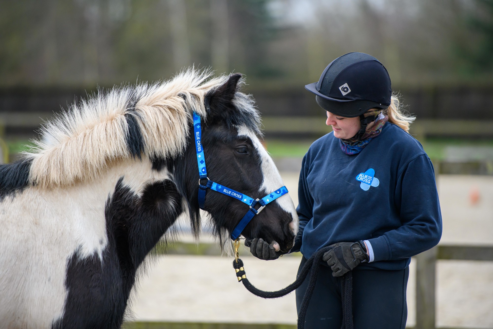 Black and white horse called Heather, standing in a yard with her keeper