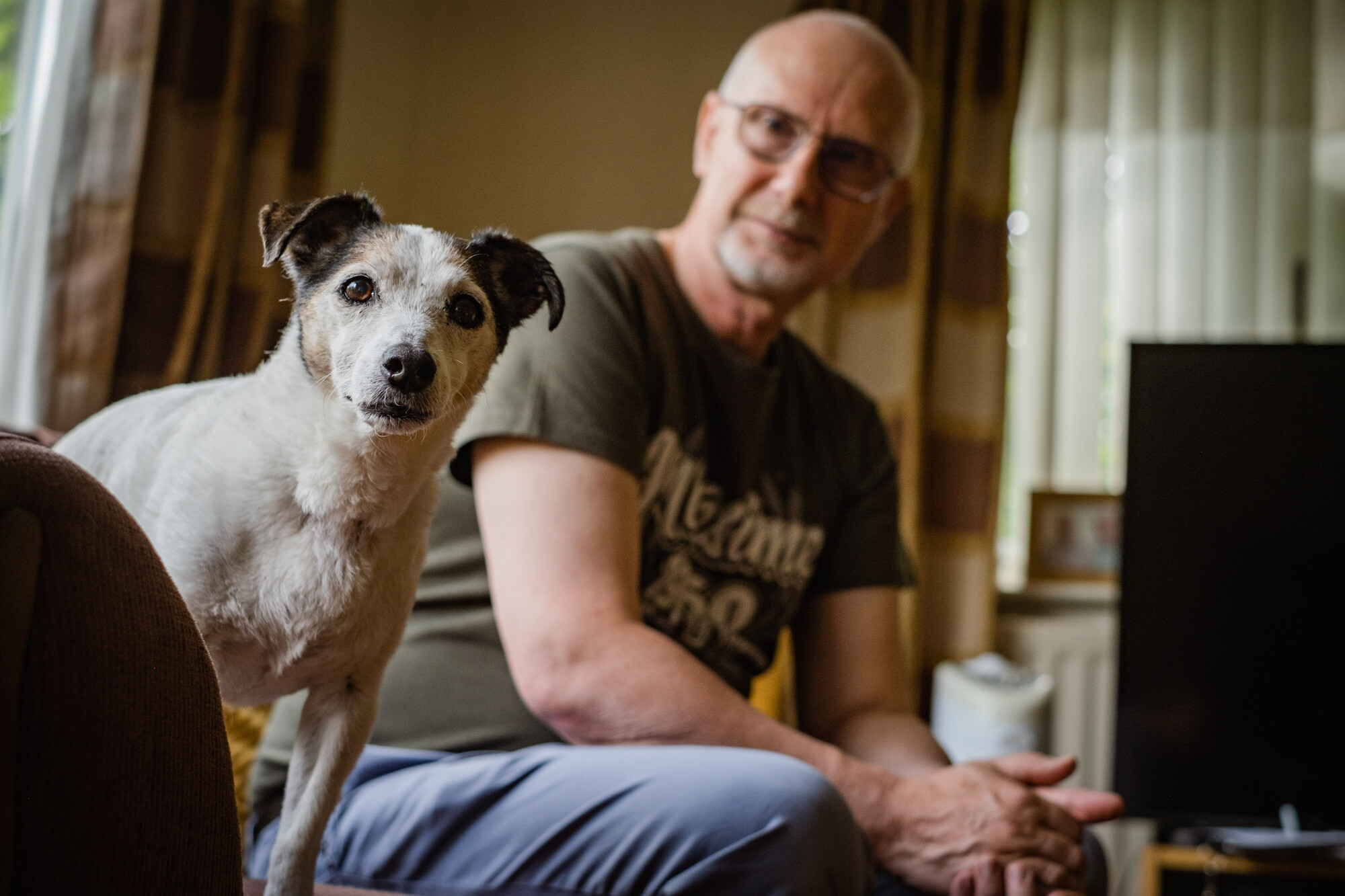 White and tan dog Libby looking over the arm of a sofa with owner Alan looking at her in the background