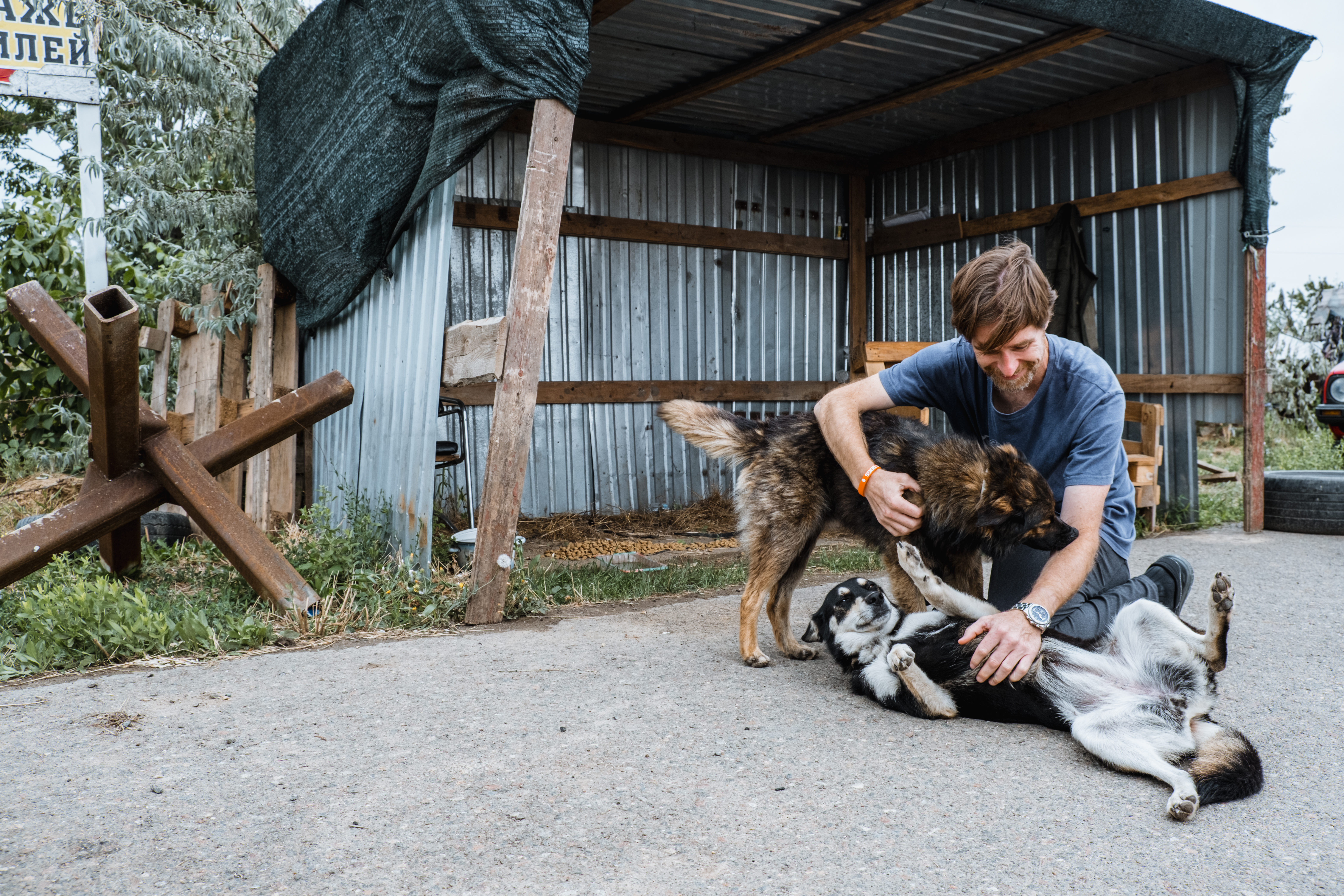 Gregg Tully, Country Director for Save the Dogs and Other Animals, kneeling on the ground, fussing two large street dogs in Ukraine