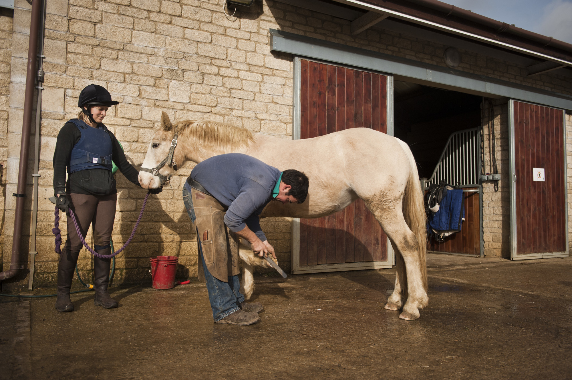 A grey pony has their feet treated by a farrier.