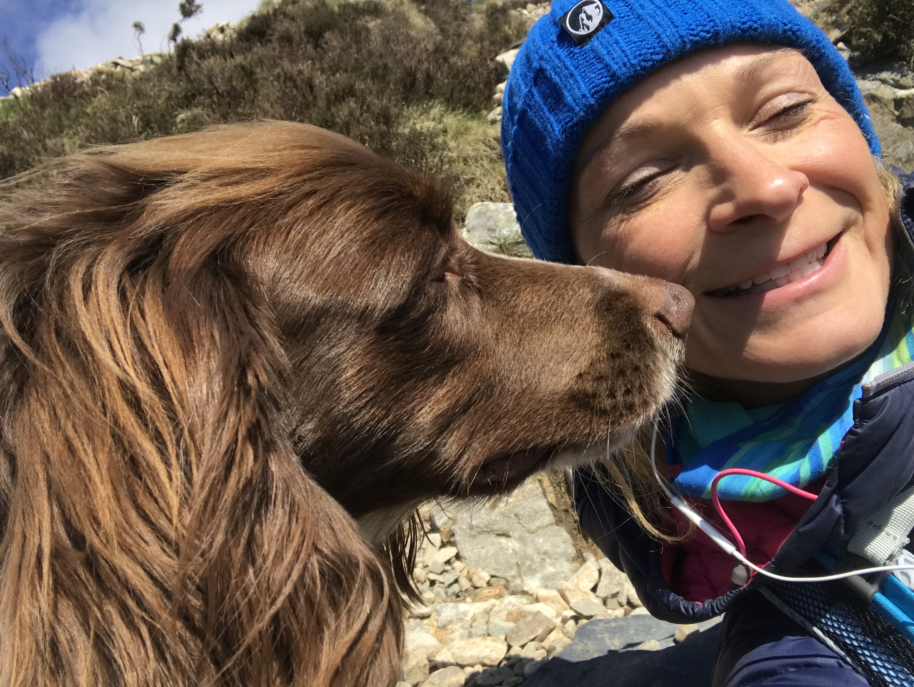 Springer spaniel Bailey gazes at his grinning owner Michelle as the sun lights both their faces