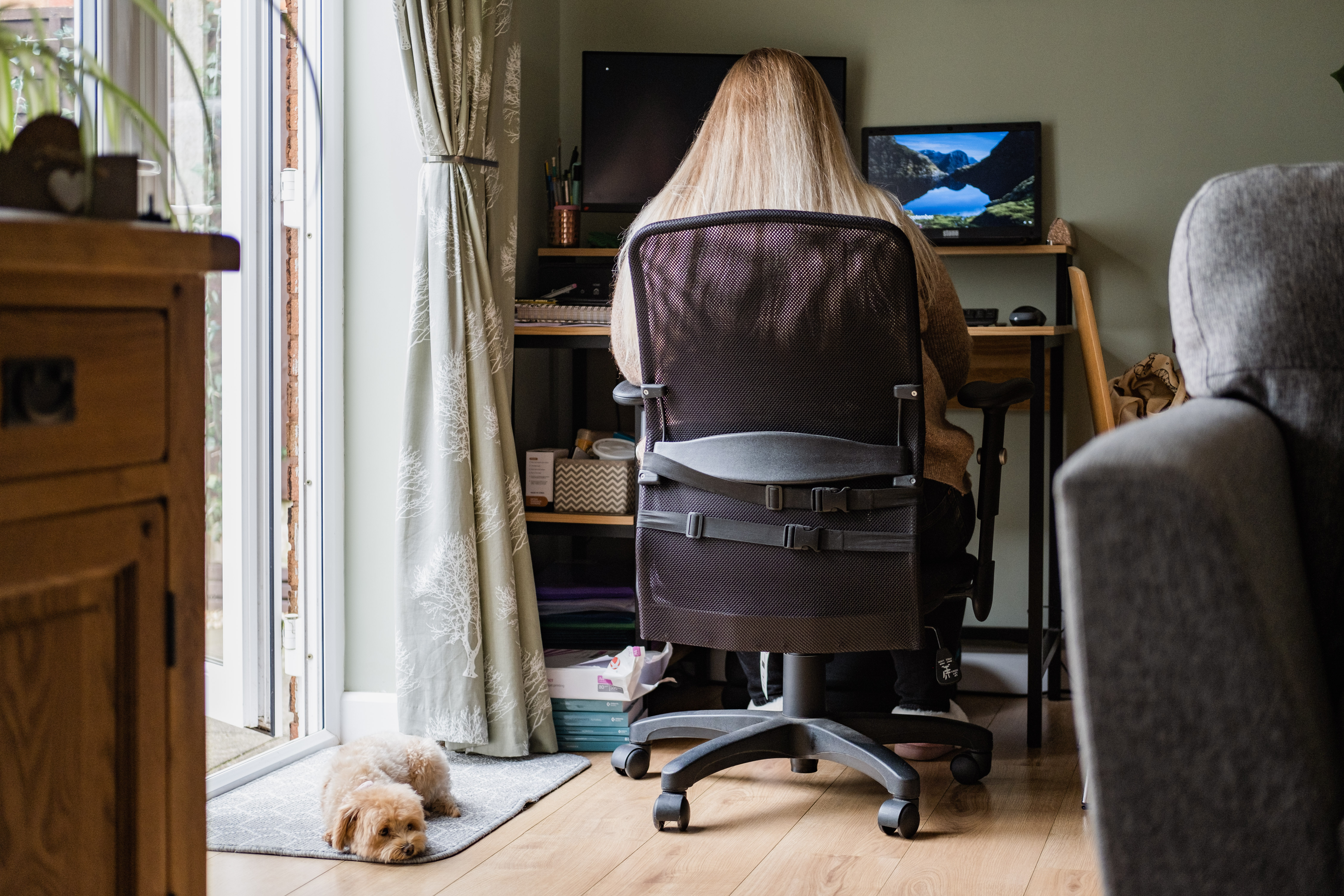 Llammy the toy poodle lies next to her owner as she works on her computer