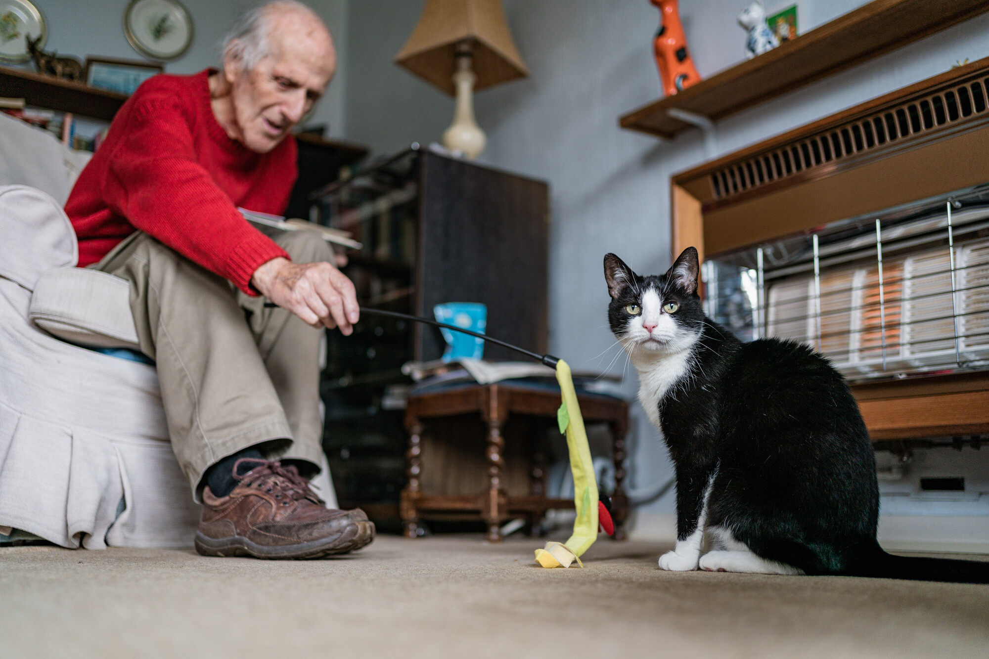 Black and white cat looks at camera as man in red gentlemen tries to get her attention with a fishing rod toy