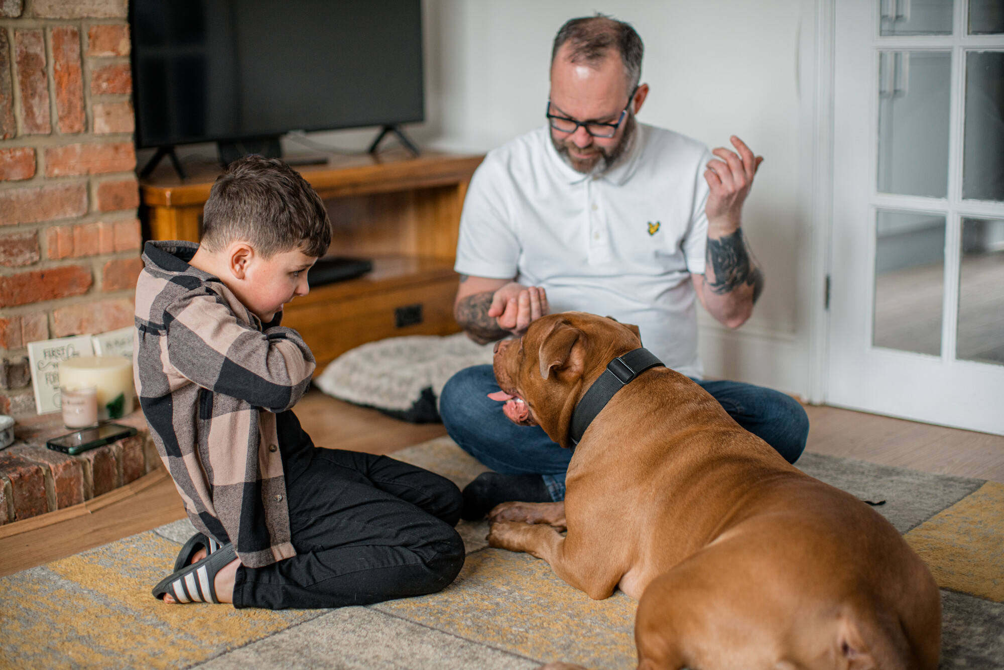 Tan XL bully type Steve lying on the floor next to young boy kneeling down assisting man in white top with training