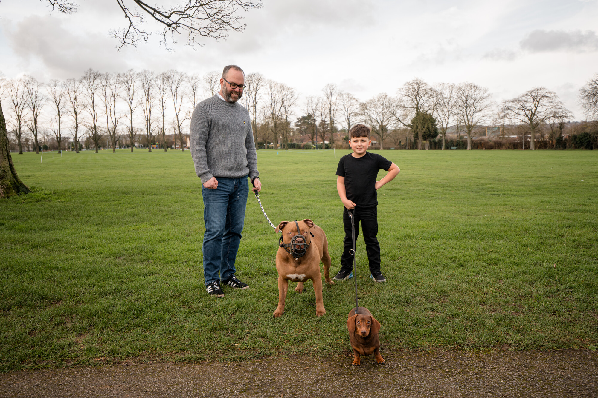 XL bully type Steve out on walk wearing a muzzle standing on a grassy field, being held on lead by man wearing grey jumper and jeans alongside his dachshund friend who is held by young boy wearing all black