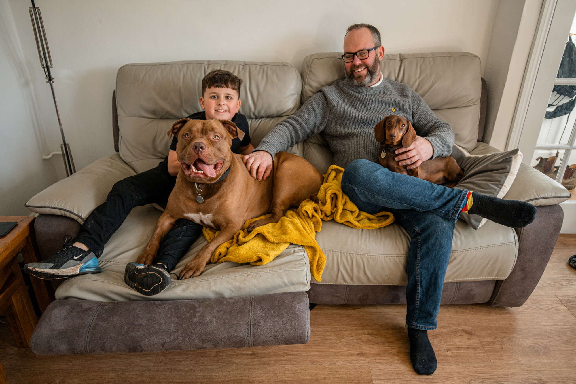XL bully type Steve lies across young boy wearing black and smiling on the sofa, alongside owner wearing grey jumper and blue jeans who is holding little dachshund 