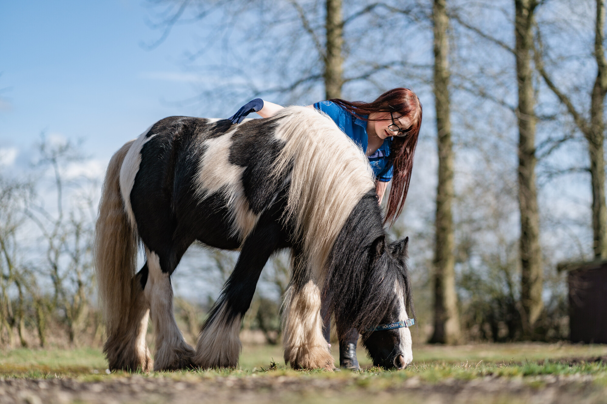 Black and white pony Bandit grazes in a field next to a teenage girl