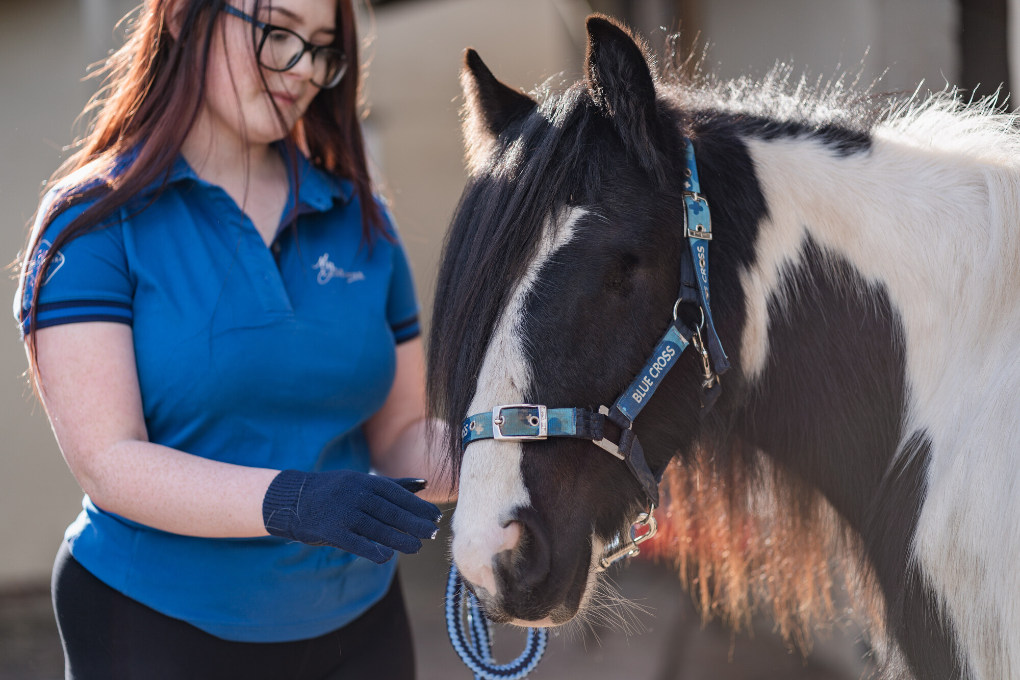 Black and white pony Bandit is held by a teenage girl with long red hair