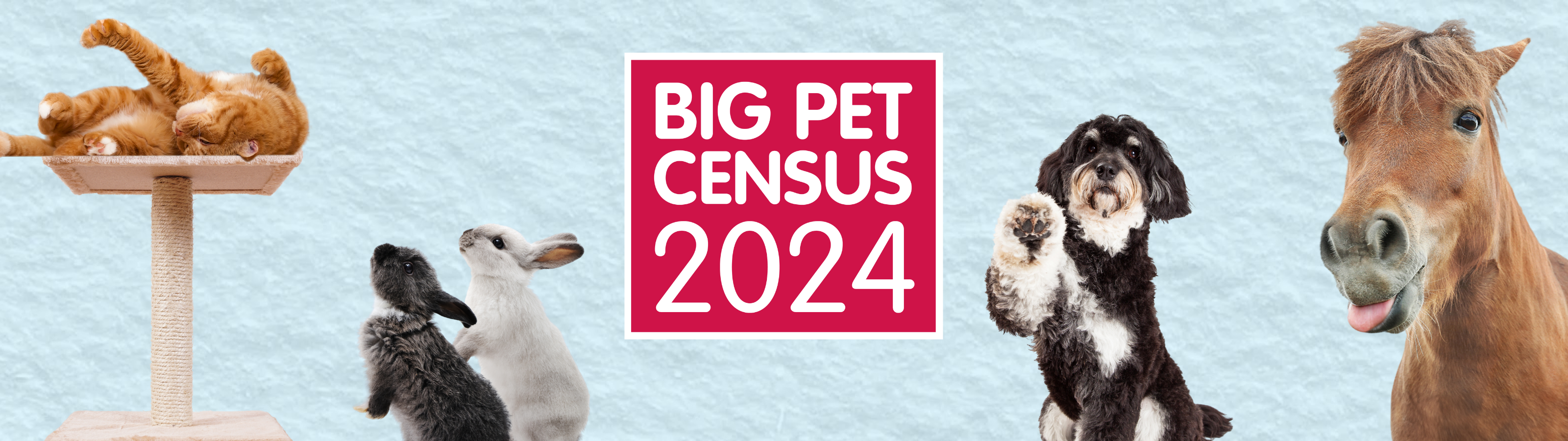 Big pet census 2024
