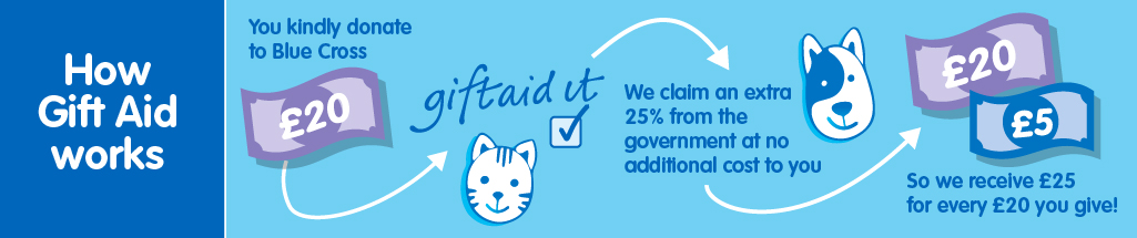 An infographic explaining how Gift Aid works. The infographic is blue and uses graphics of arrows, notes of money, a cat and a dog to explain the process. It reads: How Gift Aid works: You kindly donate to Blue Cross; we claim an extra 25 per cent from the government at no additional cost to you; we receive £25 for every £20 you give!
