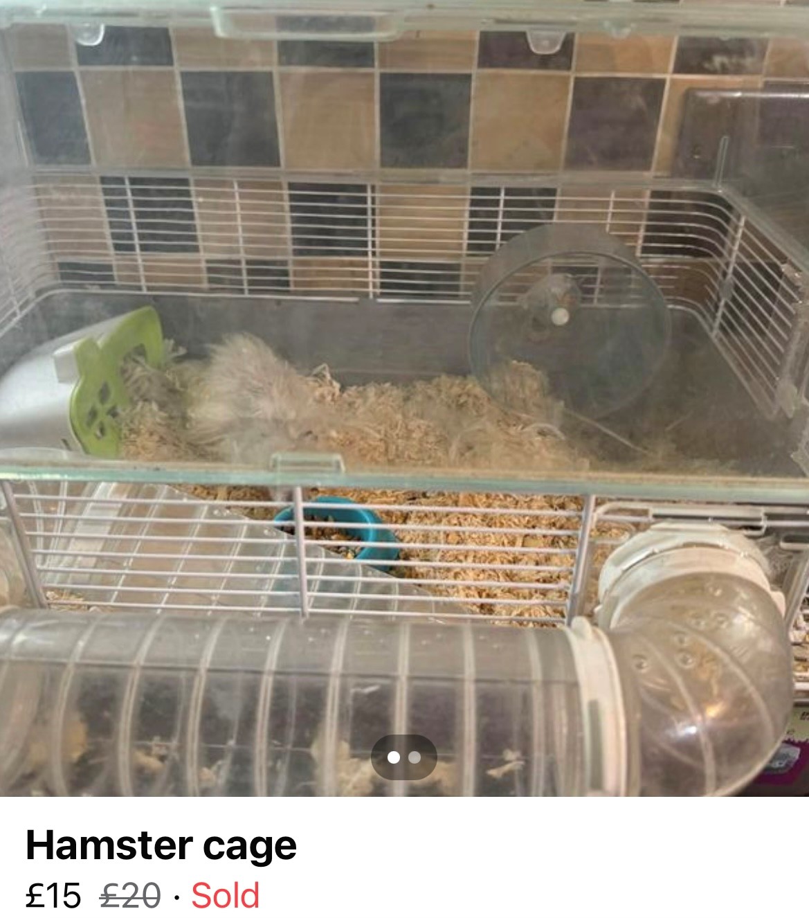 Screenshot of Percy hamster sale listing on Facebook