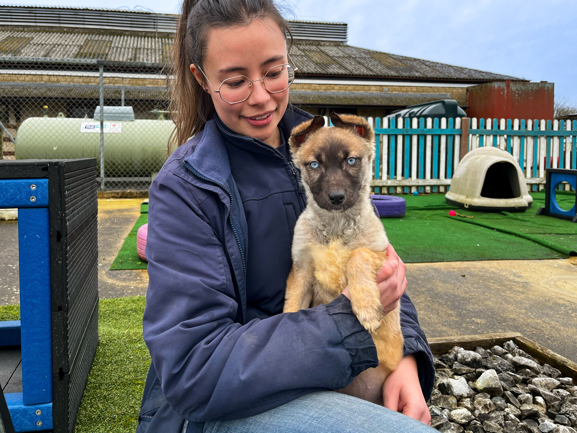 Tan puppy with black snout sat on the lap of Blue Cross staff member in an outdoor enclosure