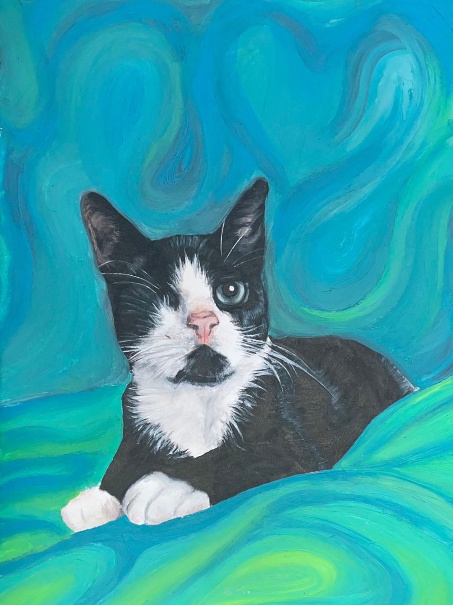 A winning drawing of Uno the cat by Josie as part of the Paws to Draw competition