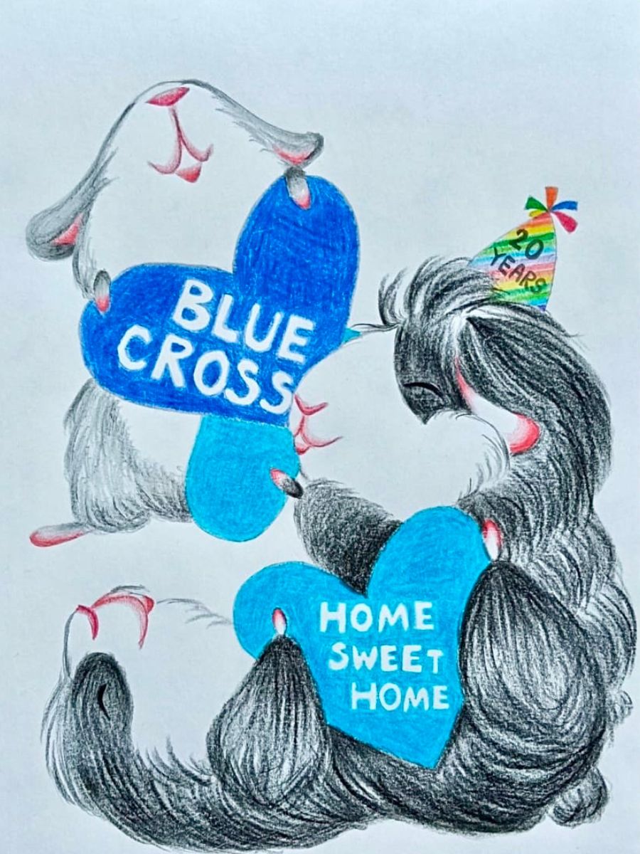 A winning drawing of Tiny, Marble and Pebbles by Ka Yu as part of the Paws to Draw competition