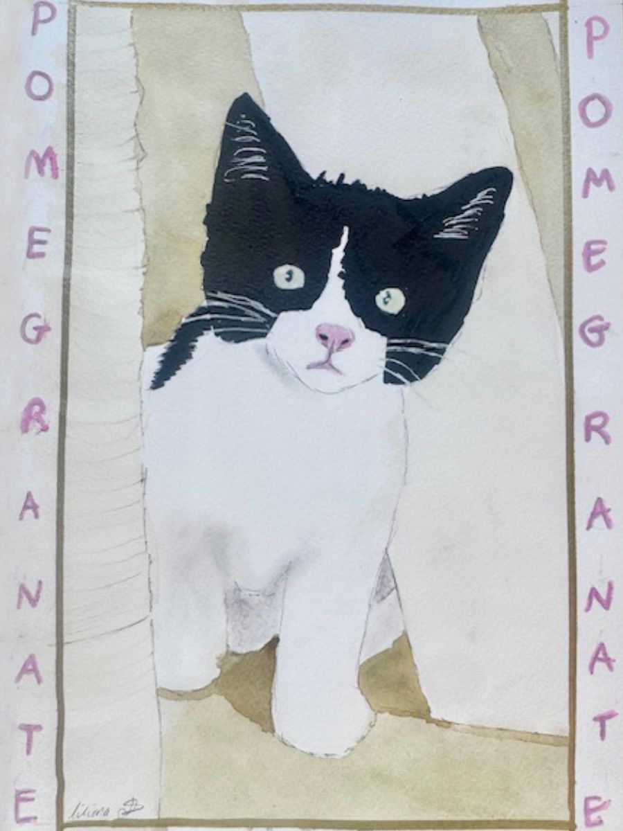 A winning drawing of Pomegranate the cat by Liliana as part of the Paws to Draw competition 