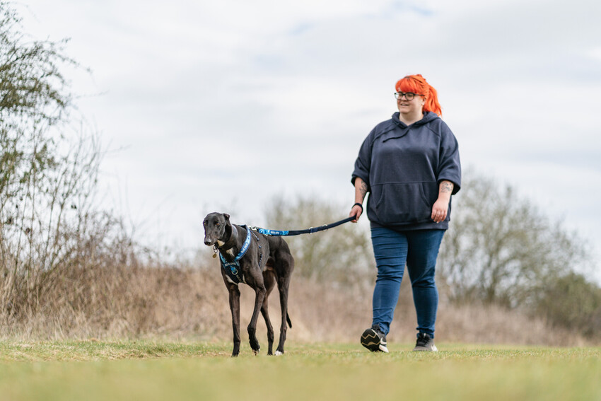 Female with red hair walking a black greyhound on lead