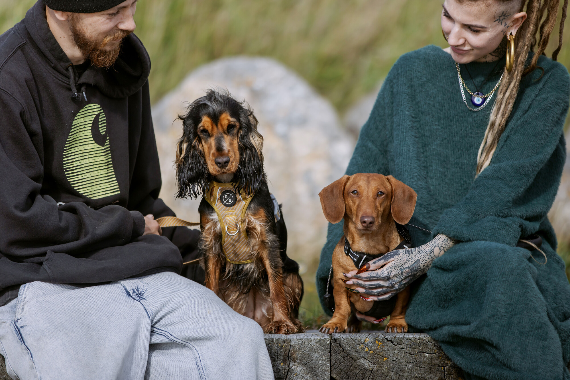 Black and tan spaniel Lilly sits beside tan dacshund Barry to her left. They are flanked by their owners and sitting on a wall with a grassy hill in background.