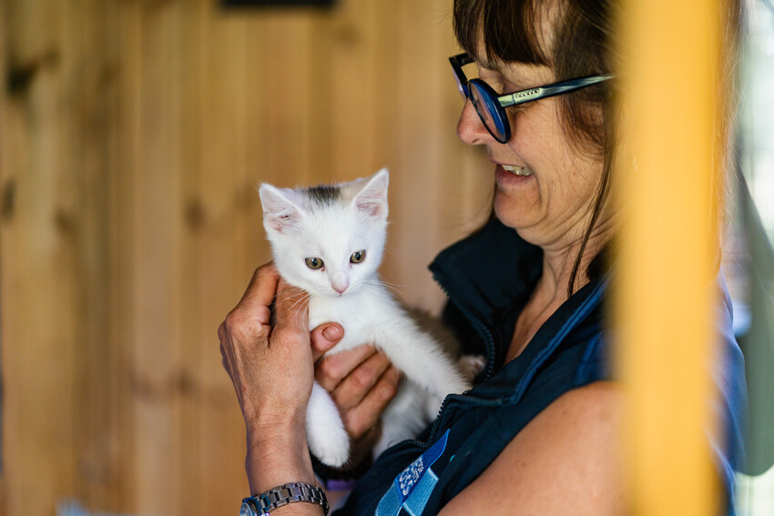 A person wearing glasses and a dark vest gently holds a small white kitten with a grey patch on its head, set against warm wooden paneling.