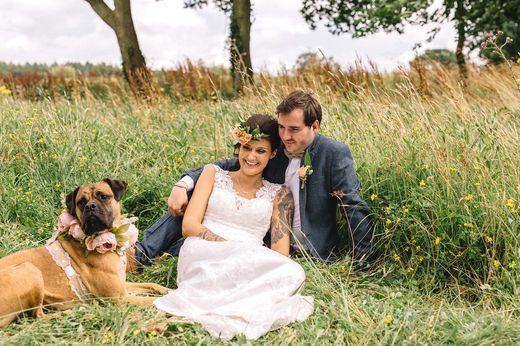 Dog at a wedding - top image