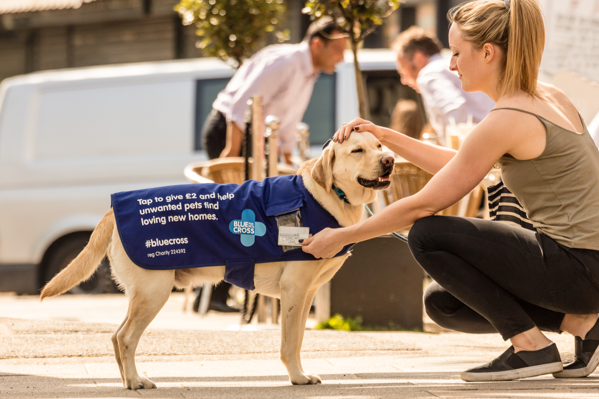 Event petting