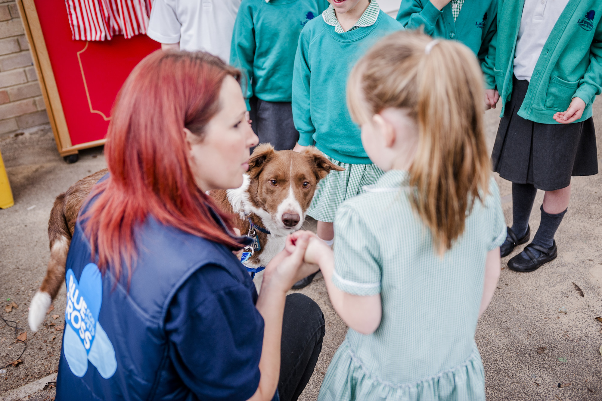 Dog Fenn at education talk at primary school