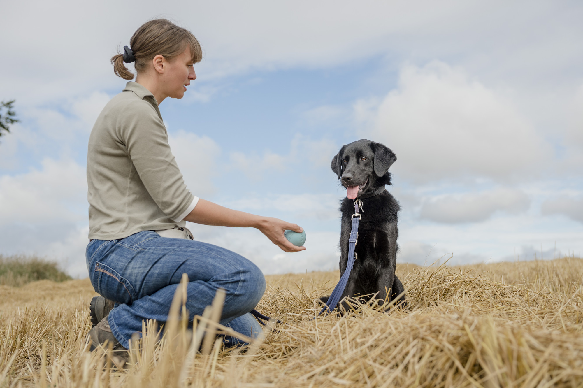 Black dog being trained with ball