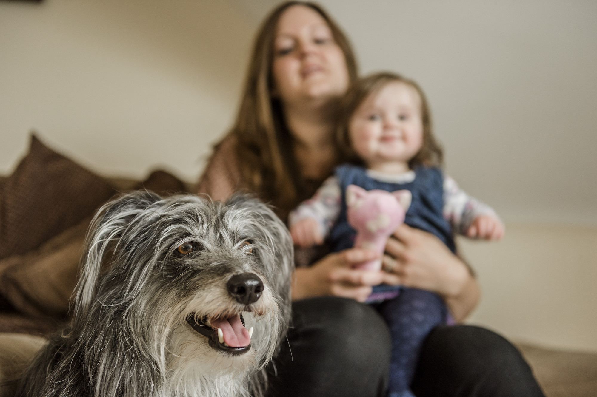 Dog and baby