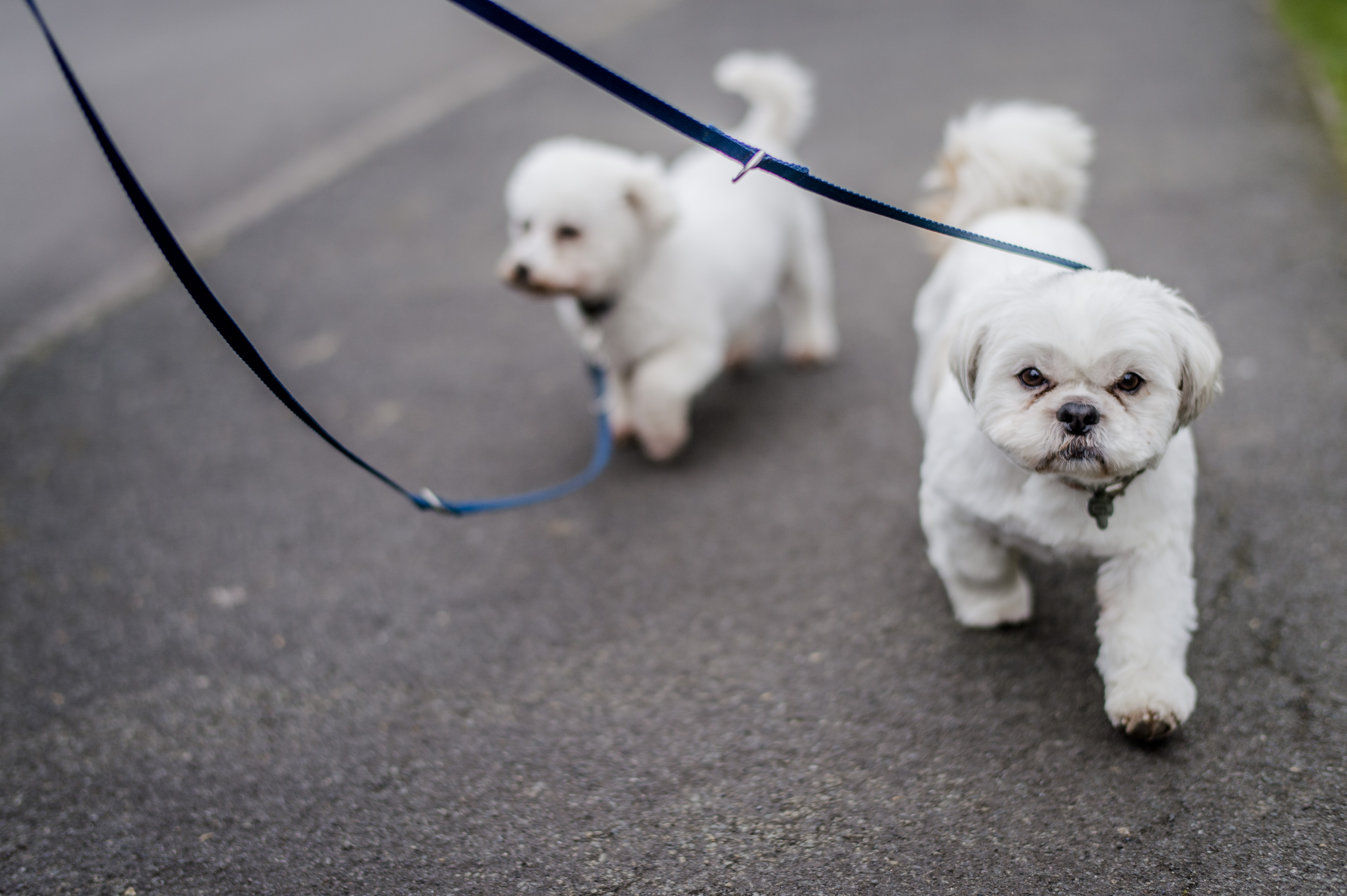 Doris and Edna out walking