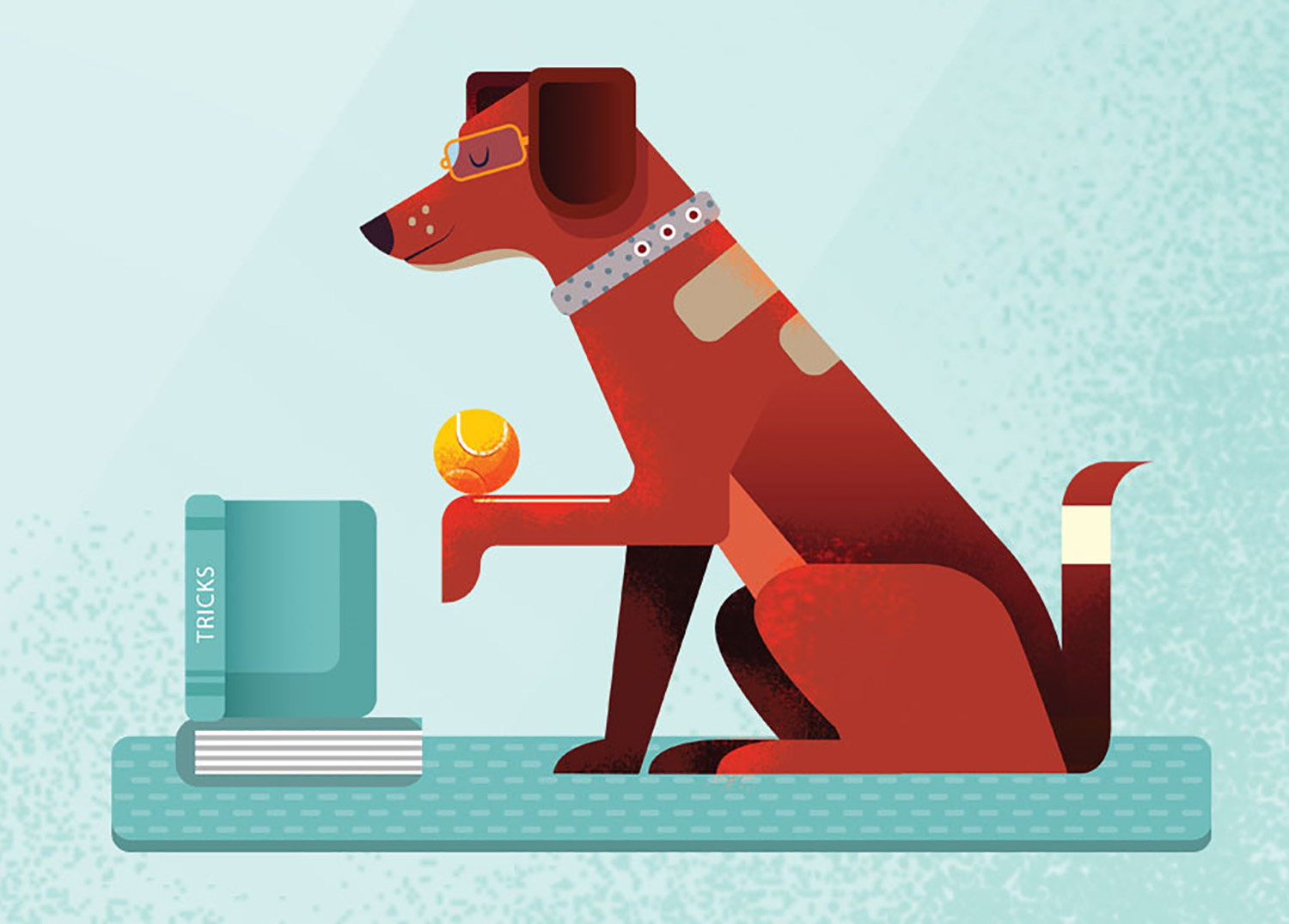 myth dog tricks