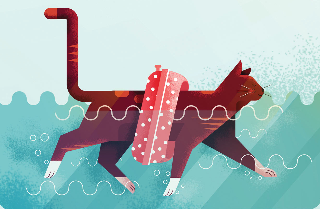 Myth cats hate water