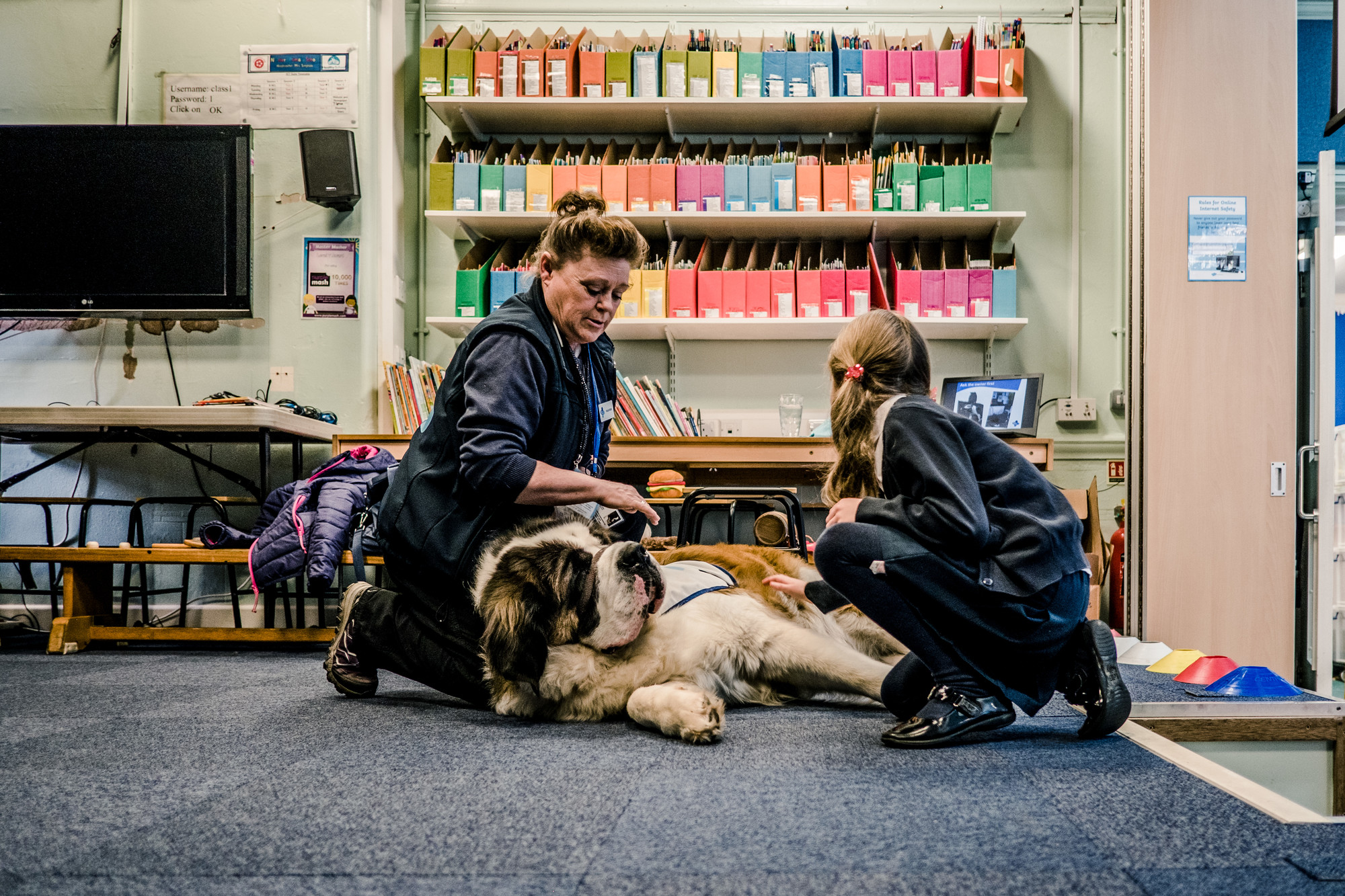 A pupil is shown how to greet a dog the right way