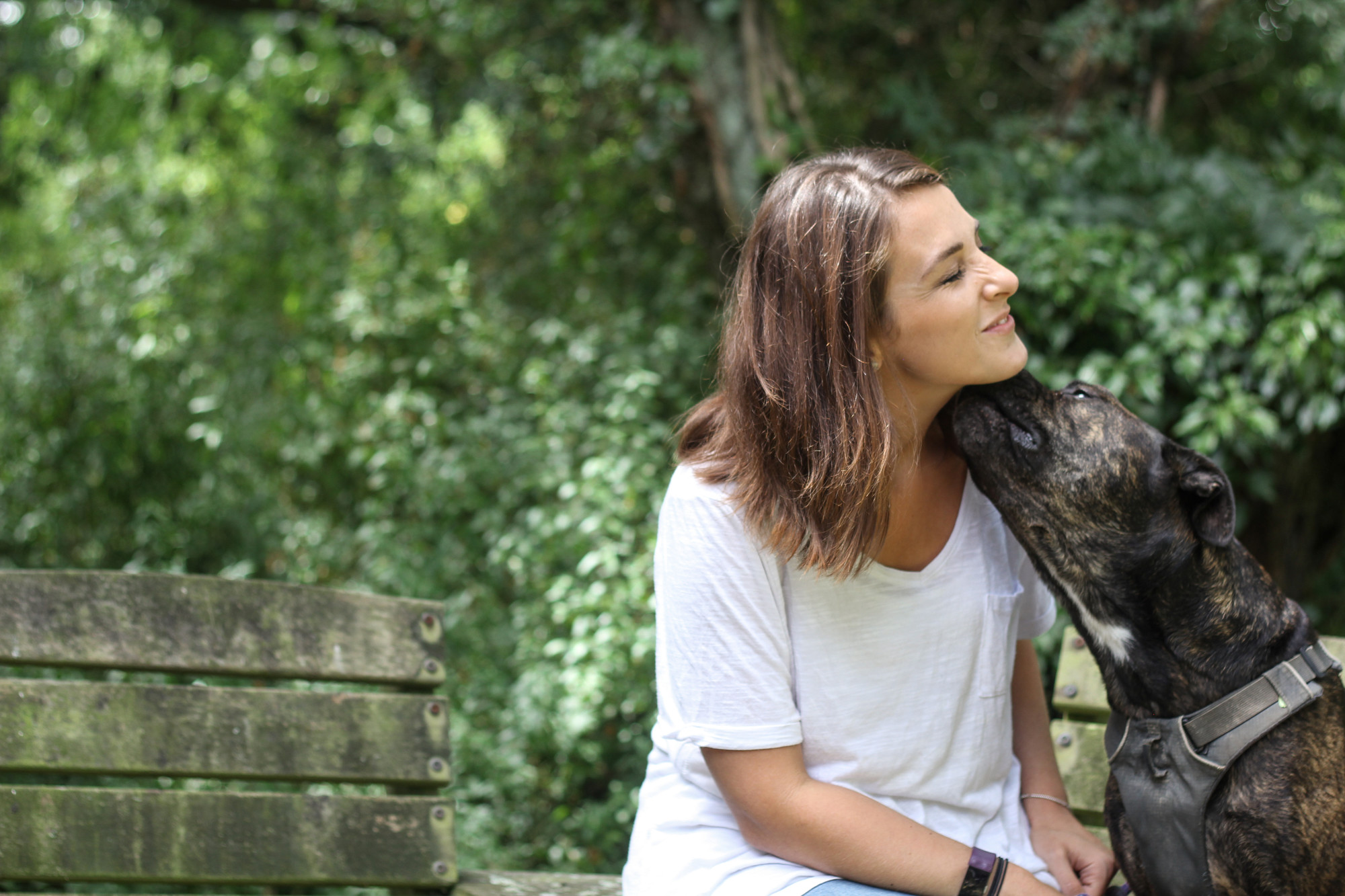 Dog licking person