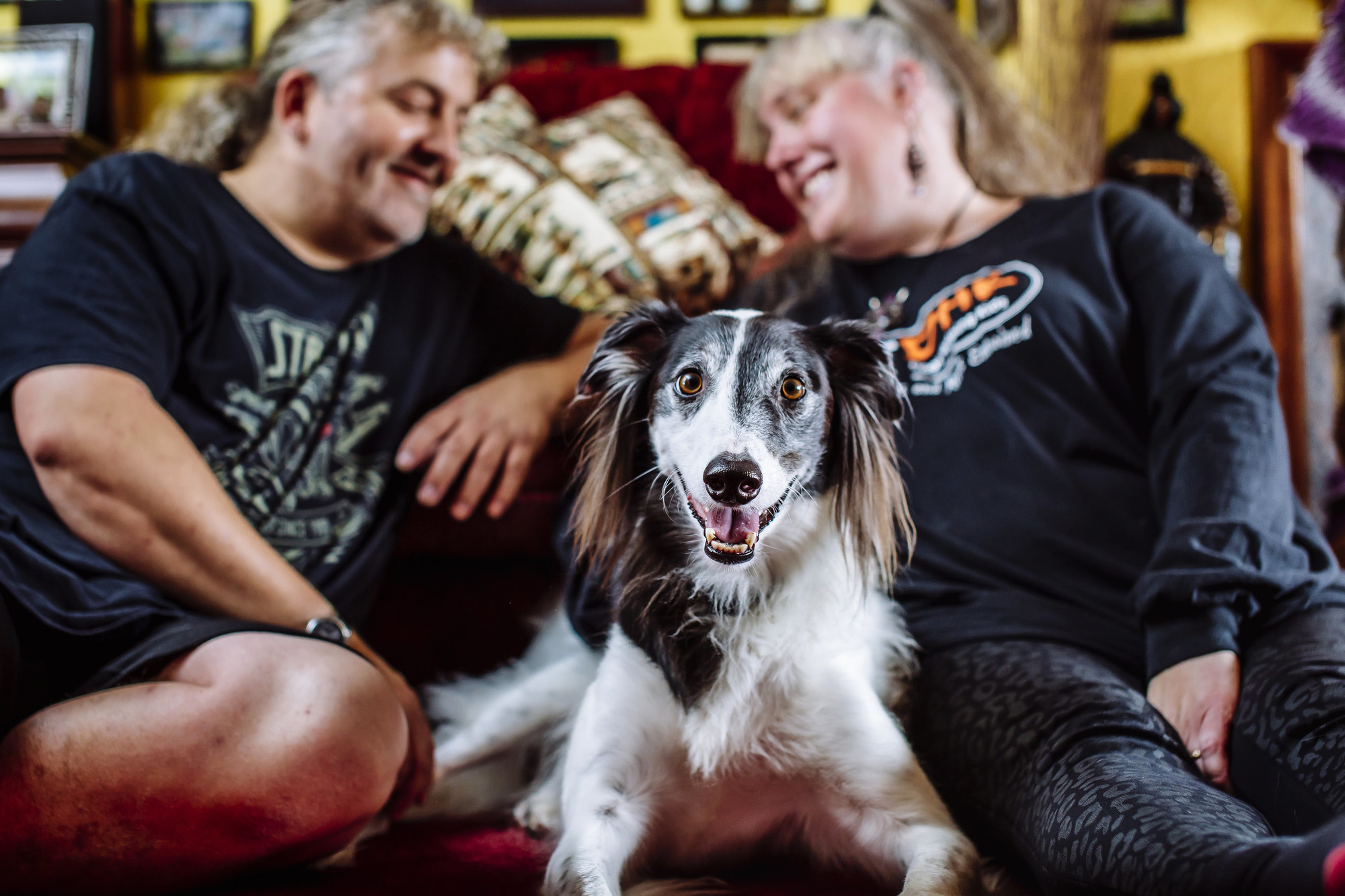 Vader relaxing at home with Tracey and Mark