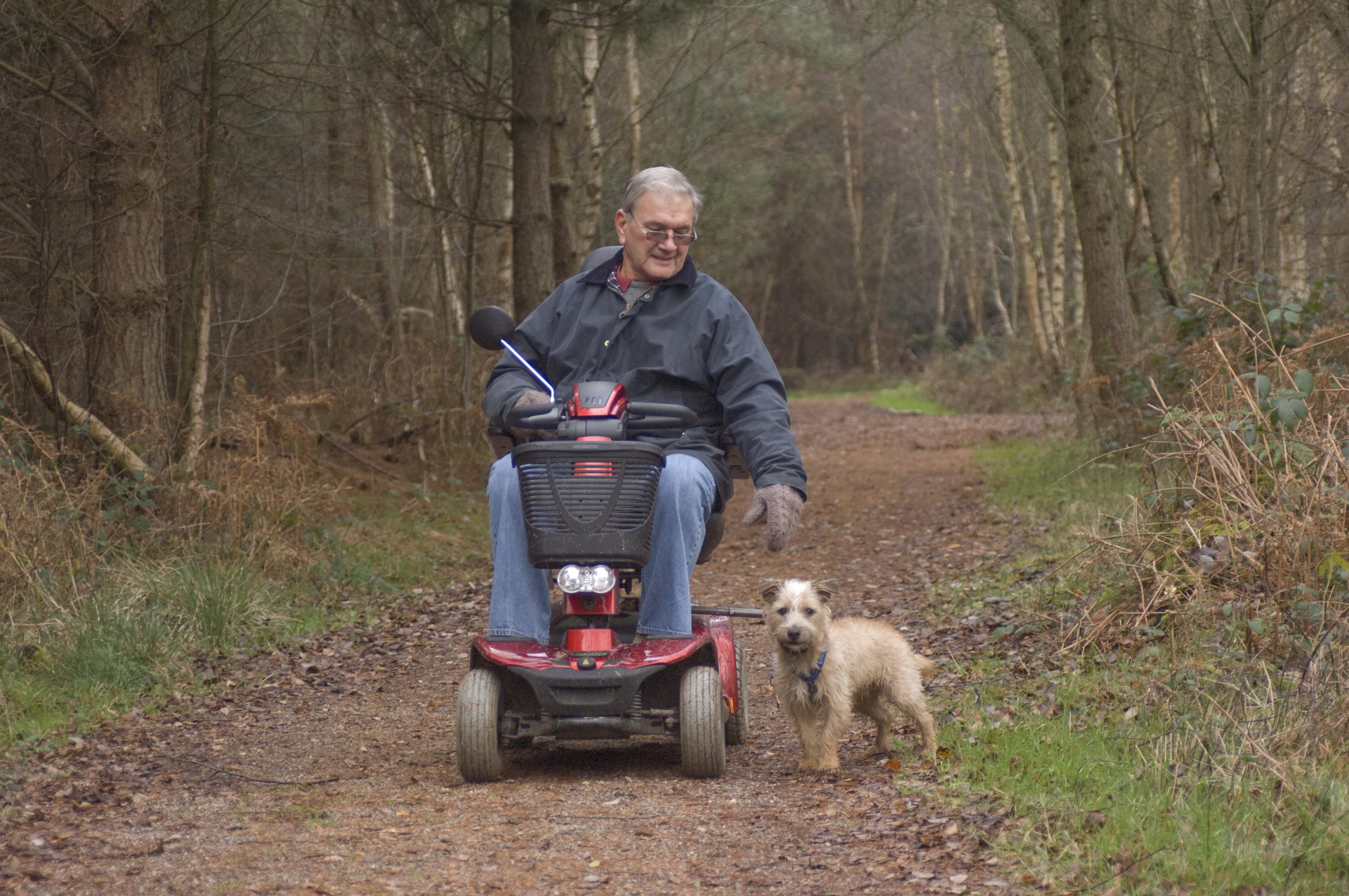 Forest dog walks - man with mobility scooter and dog