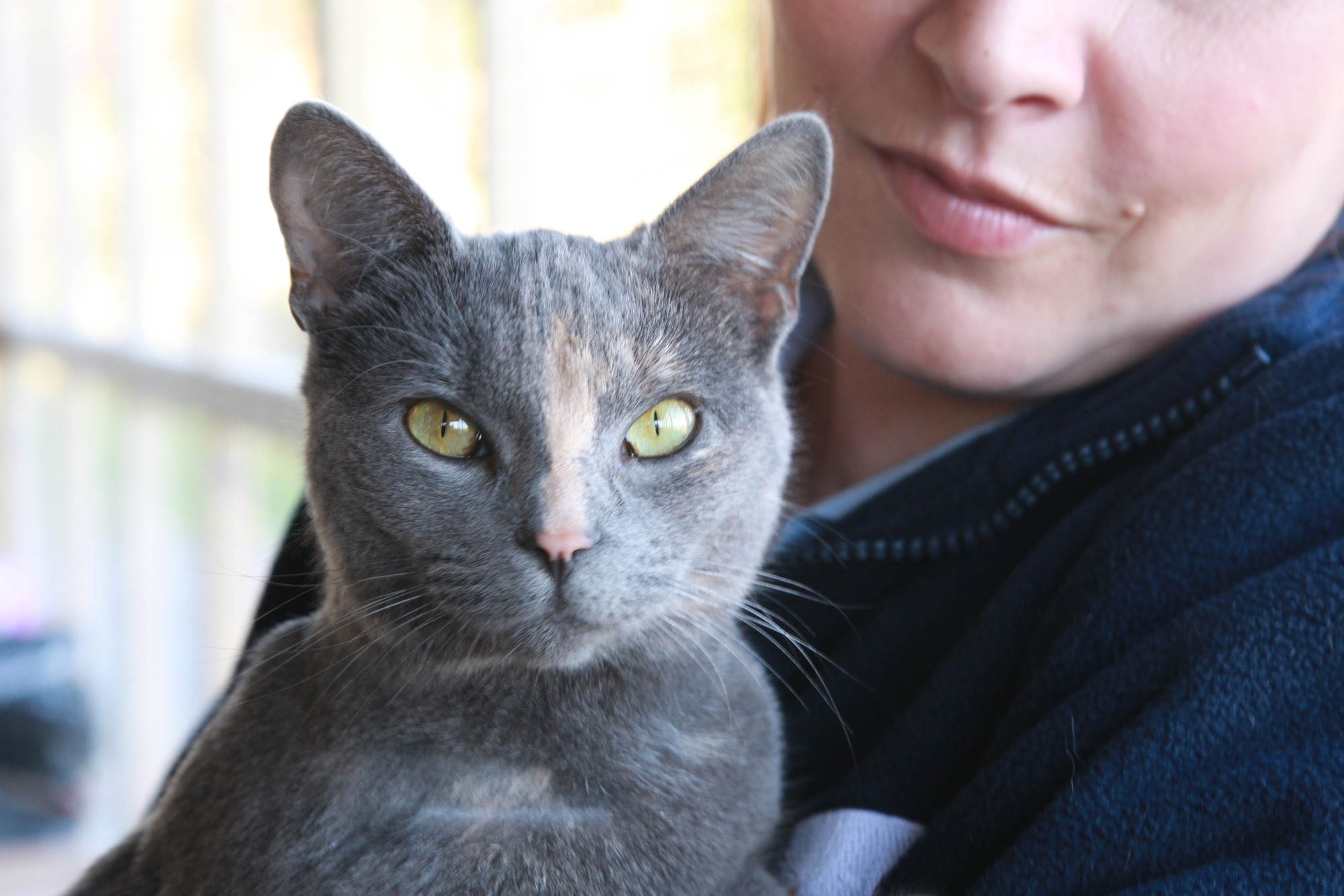 Pet Fostering coordintaor Rachel Brearley with pets at her home