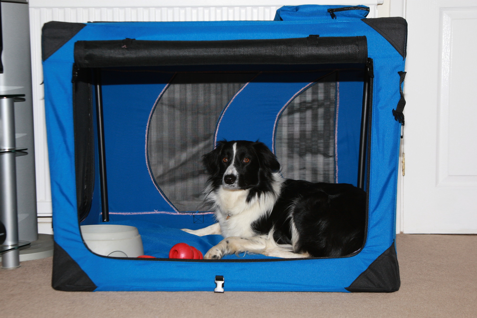 Indoor kennel