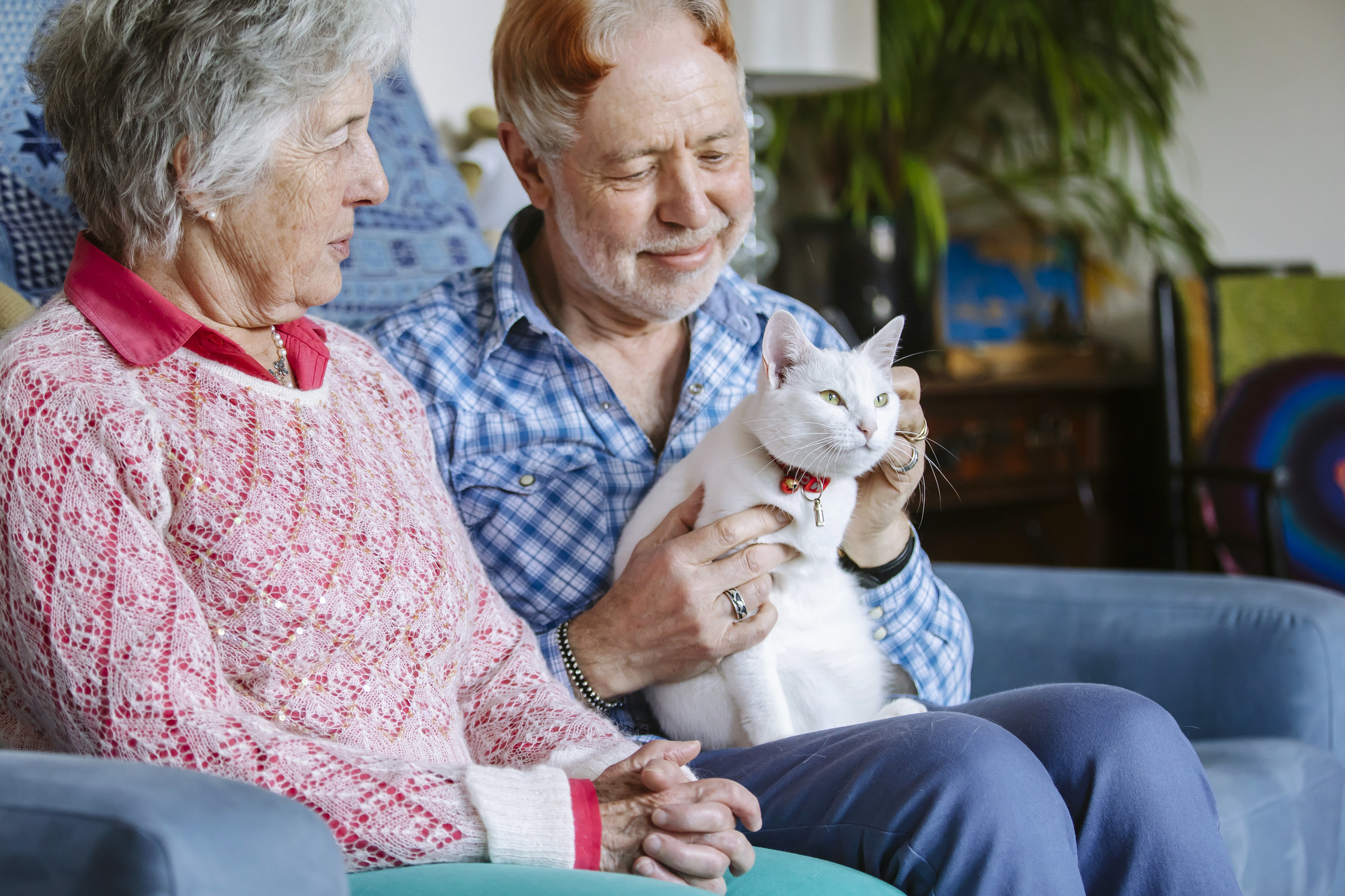 A three-legged white cat sits on the lap of her male owner. Her female owner sits next to them.