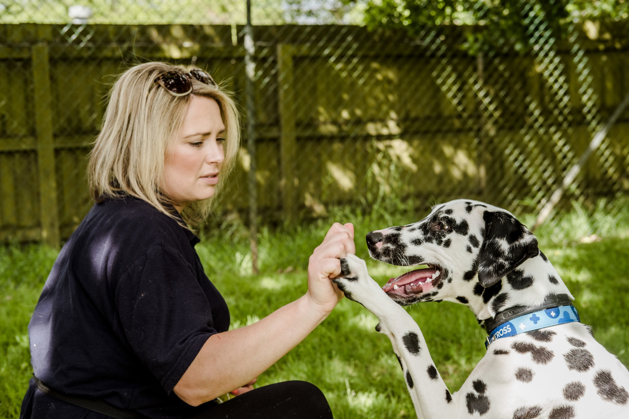 Dylan gives paw to Animal Behaviour Coordinator Hannah Miell