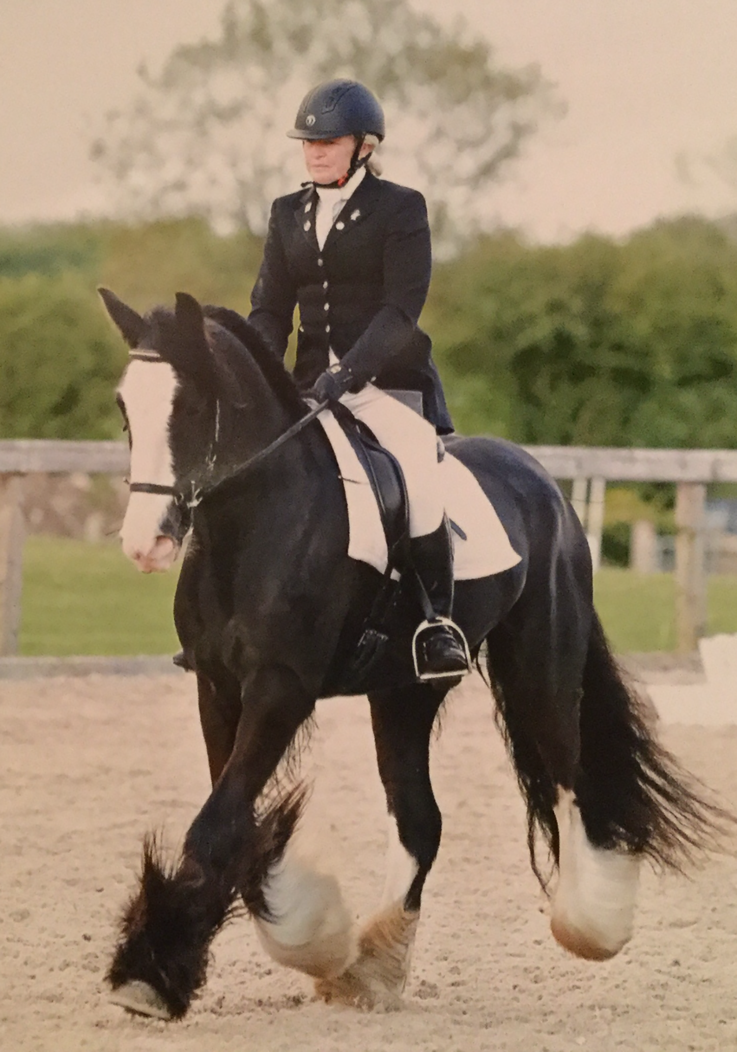 bertie upright