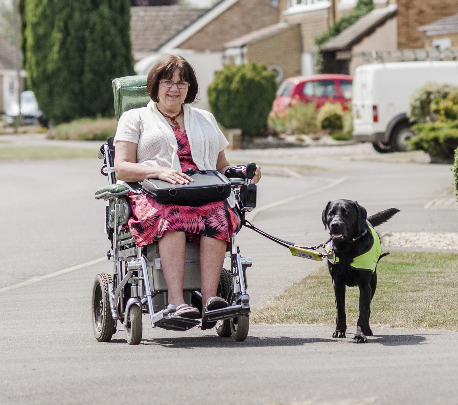Riley is now a fully-trained assistance dog and helps his owner Ella