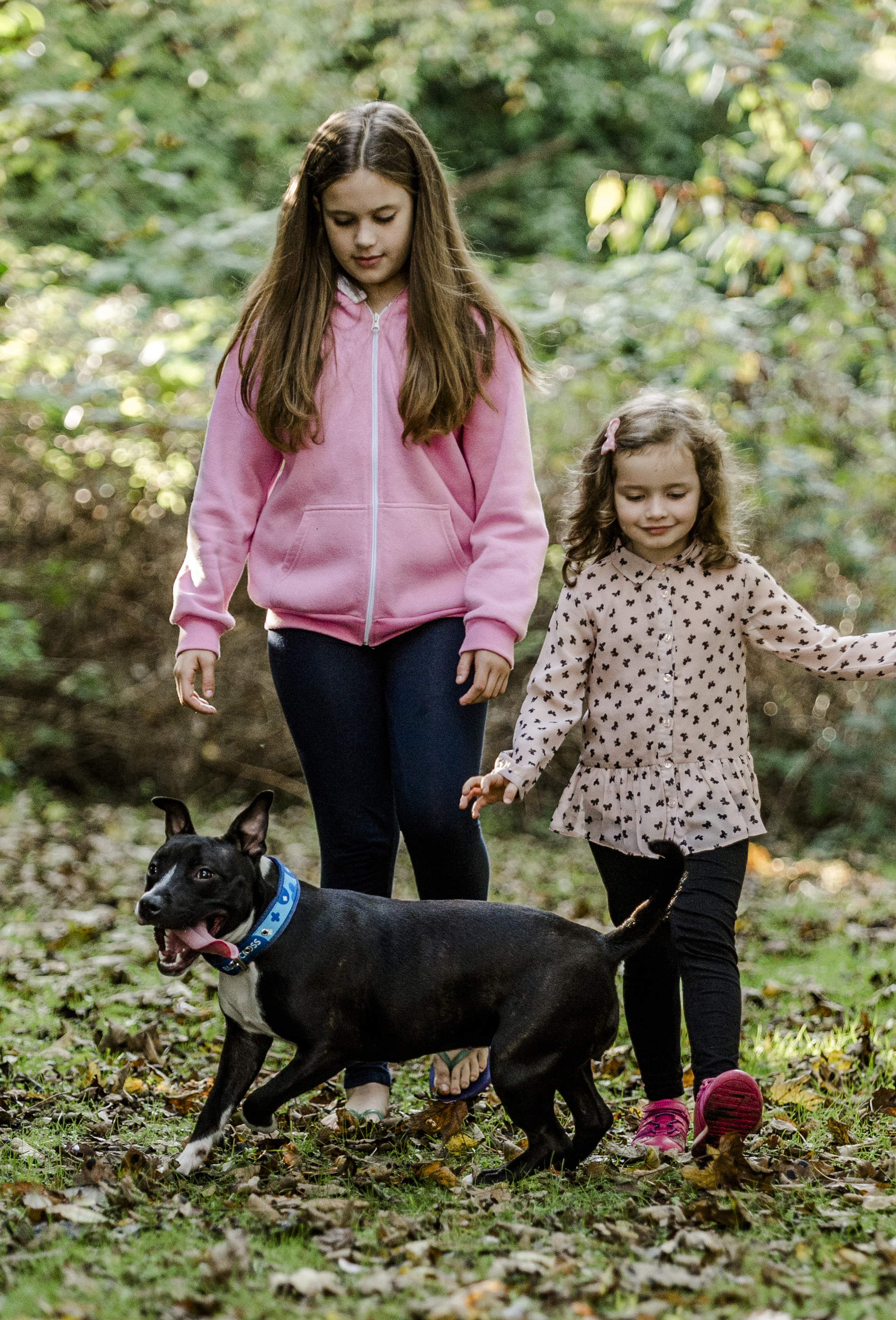 Annie is now a much-loved family pet