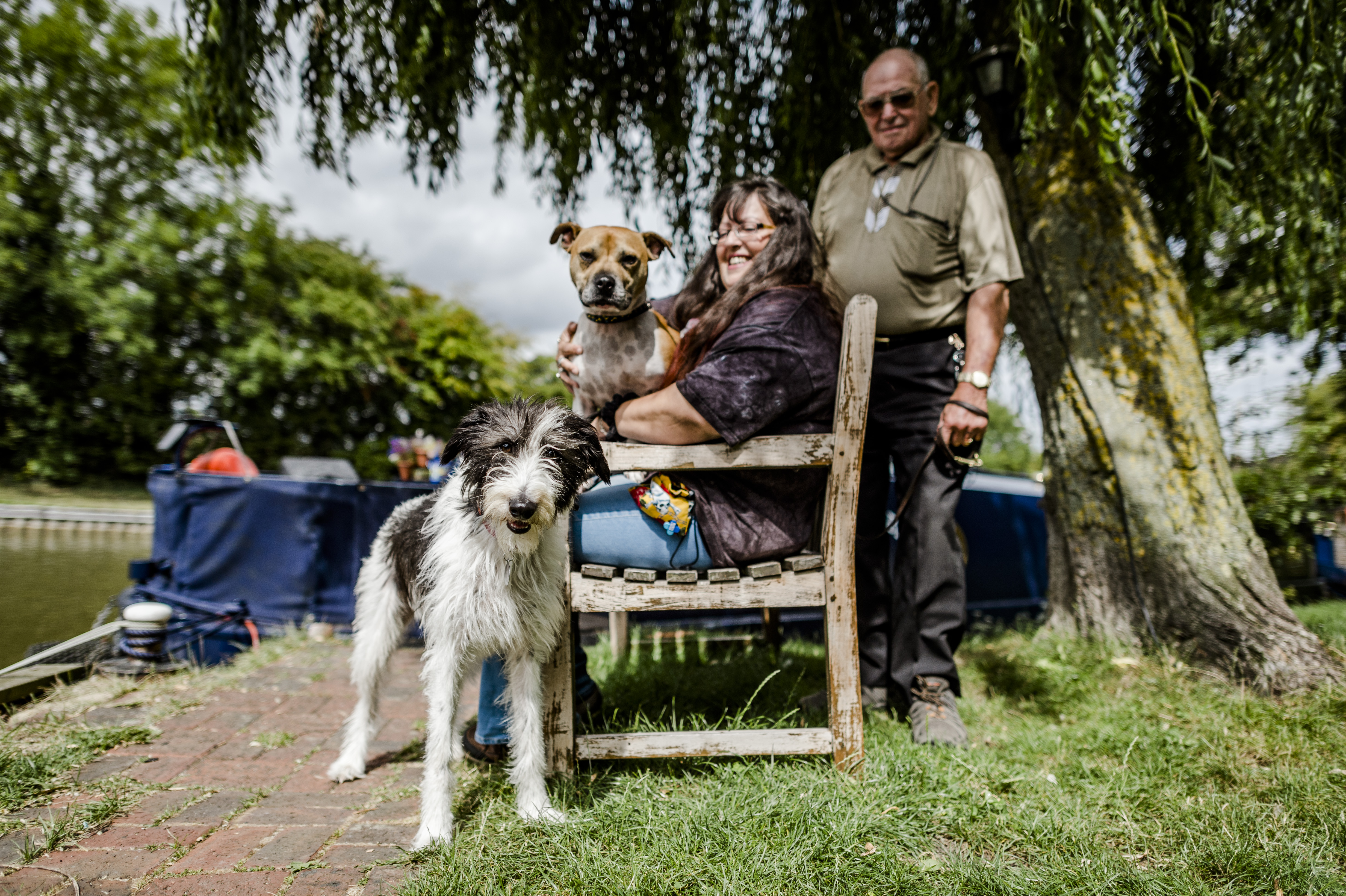 Dog Edward with his new family, staffie Nigel and owners Roz and Tony