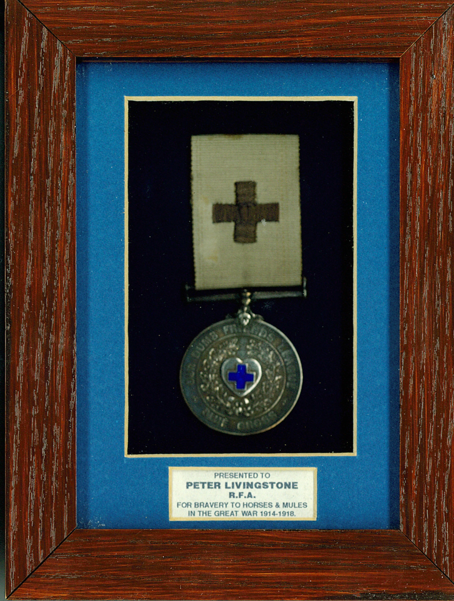 Framed ODFL Blue Cross silver medal, presented to Peter Livingstone, RFA, for bravery to horses and mules in the Great War 1914-1918